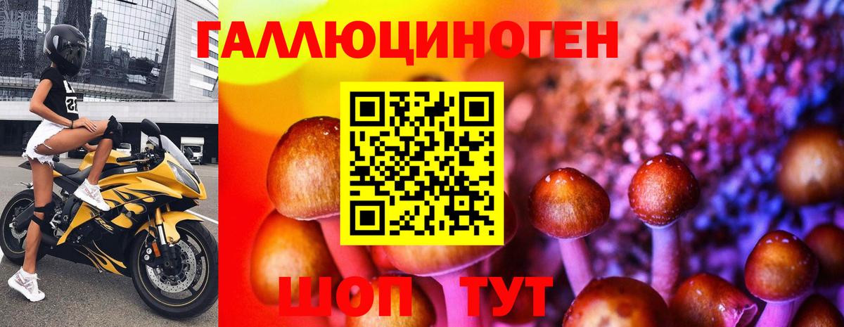 Верхняя Пышма  Галлюциногенные грибы мухоморы  Вход с VPN 